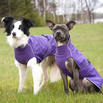 custom dog clothes uk