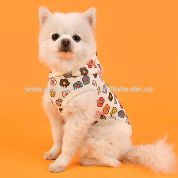 design pet clothes