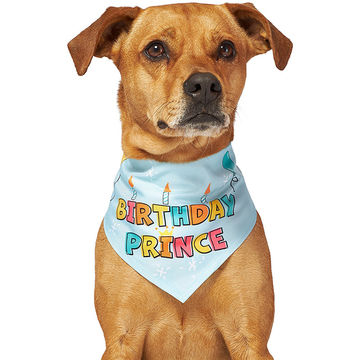 Supreme best sale dog bandana