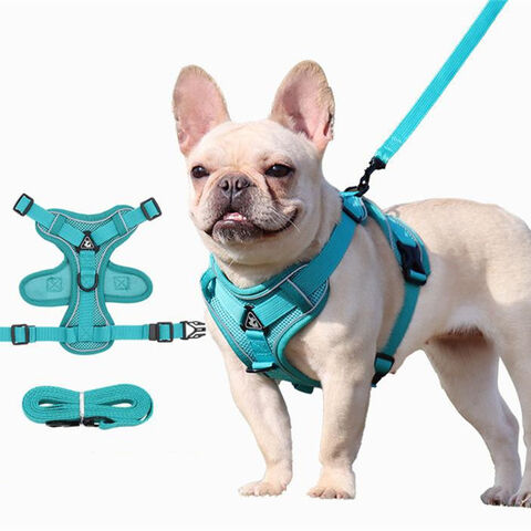 Nuevos productos para mascotas: Cómoda correa para perros, transpirable, colorida, para pasear perros, arnés para mascotas.