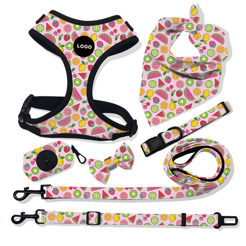 Buy Wholesale China Personalised Logo & Designs For Dog Lead