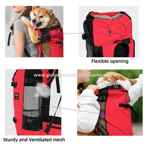 pet front backpack