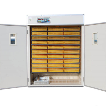 Buy Wholesale China Chicken Incubator With Hatching 5280eggs ...