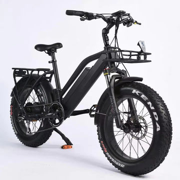 750 w hot sale ebike