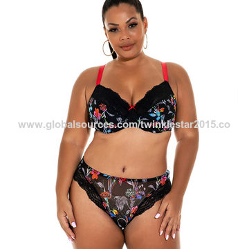 Wholesale Factory Lady Lingerie Sexy Lace Bra Brief Sets - China