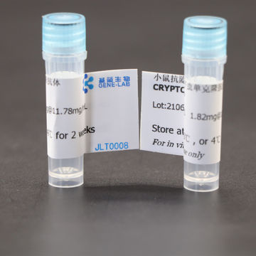 Buy Wholesale China Cryptosporidiumn Antibody & Recombinant Protein At 