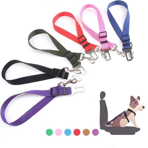 Poundland dog cheap leads