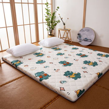 sleeping mat bed