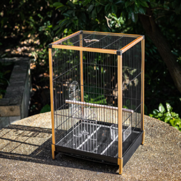 Cages à Oiseaux Cages à Oiseaux Cage à Perroquet doré Décoration