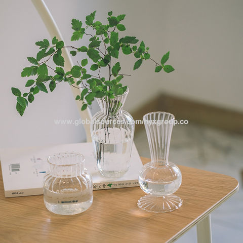 Terrário de Vidro Pendurado em Forma de Bola, Vaso para Plantas e Flores, Recipiente de Paisagem DIY - Atacado for sale at factory direct price