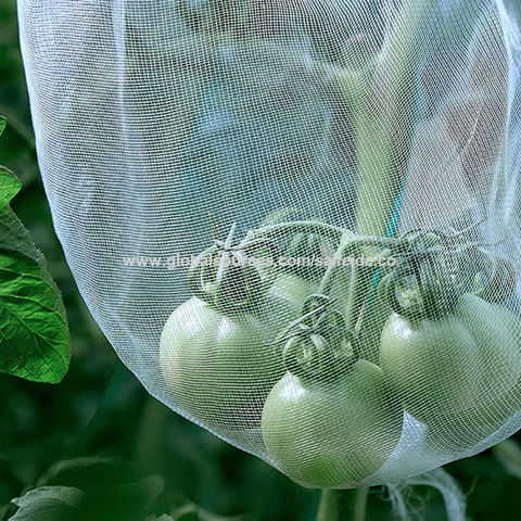 Anti Bird Protection Net Mesh Garden Plant Netting Rodents Birds Deer  Reusable Fencing - China Wholesale Garden Plant Netting $5.2 from Weihai  Saifeide Plastic And Chemical Industry Co.,Ltd