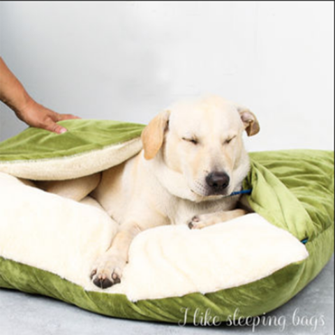 jumbo plus dog bed