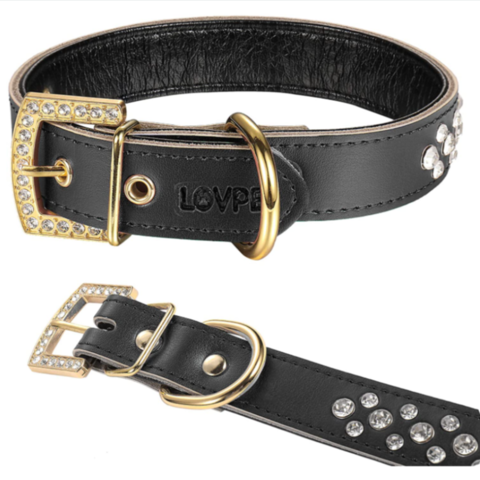 extra thin dog collar