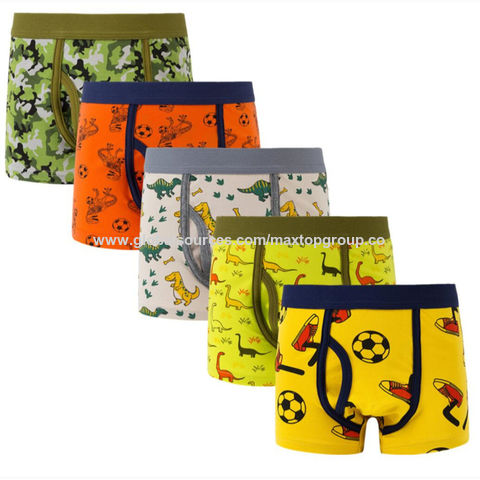 Boy Underwear Cartoon Printing Boxer Cotton Underwear for Children Kids  Animal Logo Teen Underwear - China Kids Underwear and Lovey Panties price