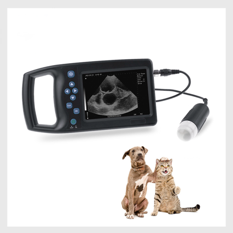 Buy Wholesale China Pet Hospital Ultrasound Pet Ultrasound Scanner  Veterinary Portable Ultrasound Animal Vet Scanner & Best Quality Pet  Hospital Ultrasound-oem at USD 398 | Global Sources