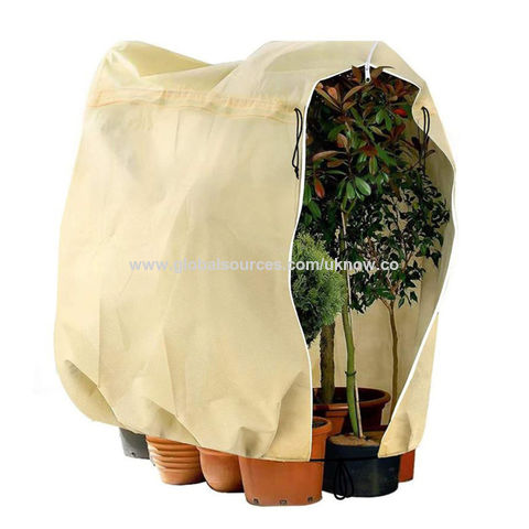 Blanket plant online cover