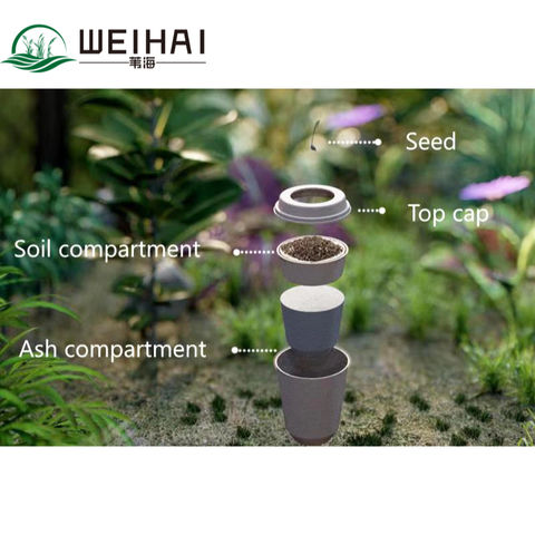 biodegradable pet urn