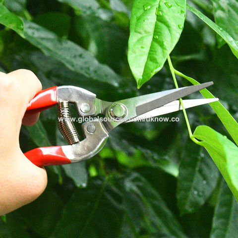 Buy Wholesale China Stainless Steel Fruit Branch Shears Garden