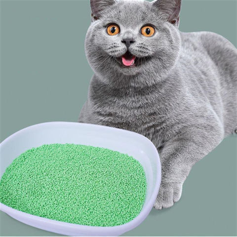 using sand as cat litter