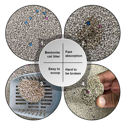 bentonite litter