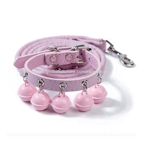 pet collars and leashes
