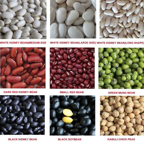 gennemskueligt Tilskud Arrangement Buy Wholesale United Kingdom Best Quality Black ,red Kidney Beans At Low  Price & Black/white/red Beans at USD 200 | Global Sources