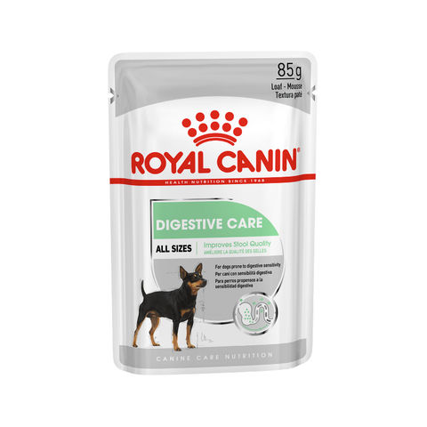 typist Oefening Professor Quality Royal Canin Maxi Adult Dog Food for Large Dogs for sale worldwide, Royal  Canin Dog Food Royal Canin Cat Food Royal Canin Dry Food - Buy Belgium Royal  Canin Pet Food