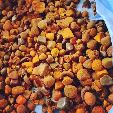 Cálculos Biliares de Boi for sale at factory direct price