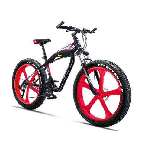 fat bike alloy wheel price