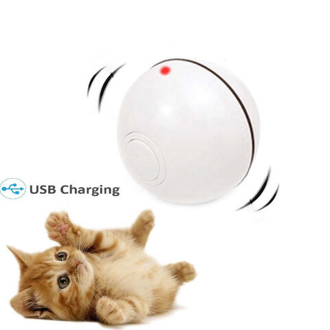 Magic led ball cat best sale