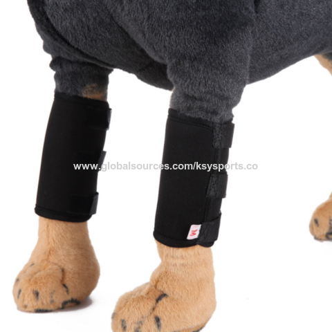 Factory Direct High Quality China Wholesale Amazon Hot Selling