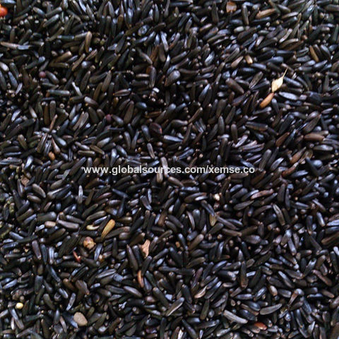 niger seed for sale