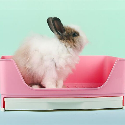 cleaning rabbit litter box