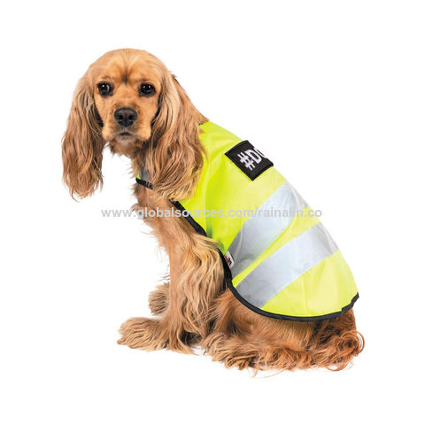 dog safety jacket