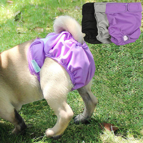 dog diapers for sale