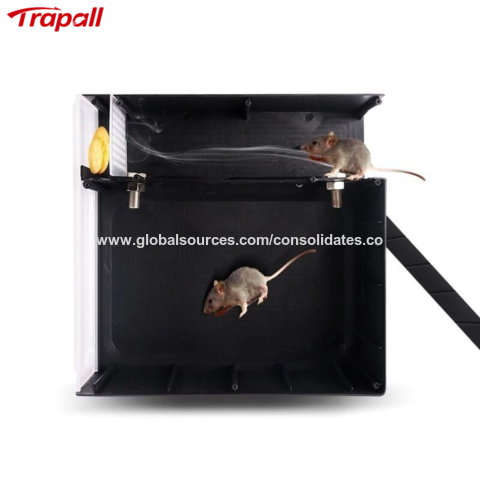 2 Pack Rat Trap Cage Live Animal Pest Rodent Mouse Control Catch