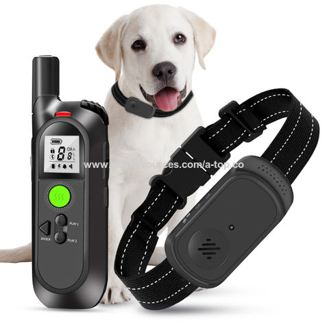 dog shock trainer