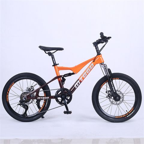 20 inch suspension bike