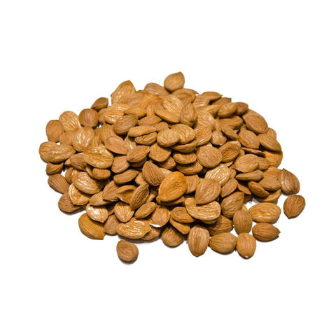 Buy Wholesale Canada Quality Bulk Sales Apricot Kernels Good Flavour ...