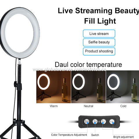 Amazon Hot Selling Inch Desk Beauty Selfie Ring Light Tiktok Led