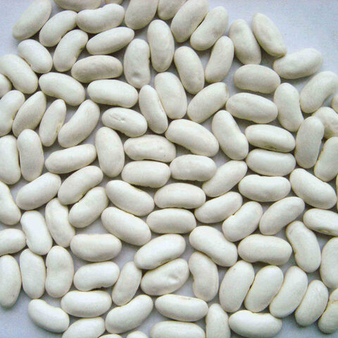 White kidney beans large size 2021 new crop white kidney beans ...