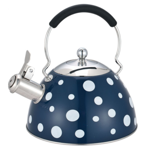 Stainless Steel Whistling Tea Kettle,2.5 Liters on Induction Stove,Gas  Stove Top