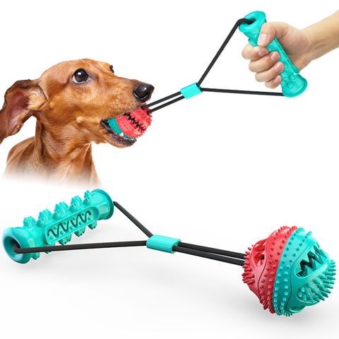 Dog Agility Training Toys Dogs Puppy Chew Toys Teeth Cleaning Bite  Resistant Interactive Dogs Toy Pet Supplies
