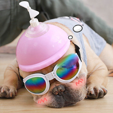 dog motorcycle goggles
