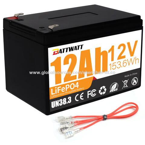 Lithium Ion battery 12V 12Ah - LiFePO4 - PowerBrick®