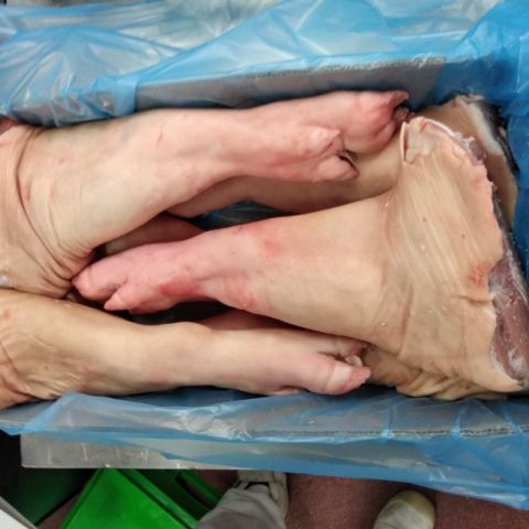 Buy Wholesale Frozen White Pork Lacon & Frozen Pork Lacon Best Price 