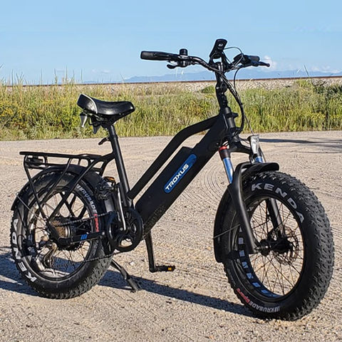 Bicicleta eléctrica para adultos, bicicleta eléctrica de 20 pulgadas x 4.0  con motor de 750 W, bicicleta eléctrica plegable de 48 V/15 Ah, bicicleta
