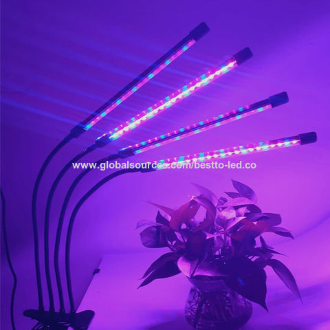 Buy China Led Timed(3/9/12 5v Rechargeable Cct 1/2/3/4 Heads Grow Lights,brightness Adjustable & Led Grow Light at USD 5.43 | Global Sources