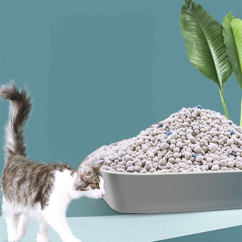 using sand as cat litter