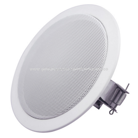 Speaker for pop hot sale ceiling